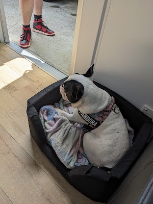 Diablos Barbers photo 2