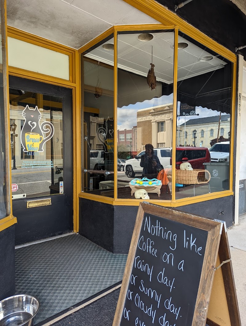 Brews and Mews Cat Cafe photo 1