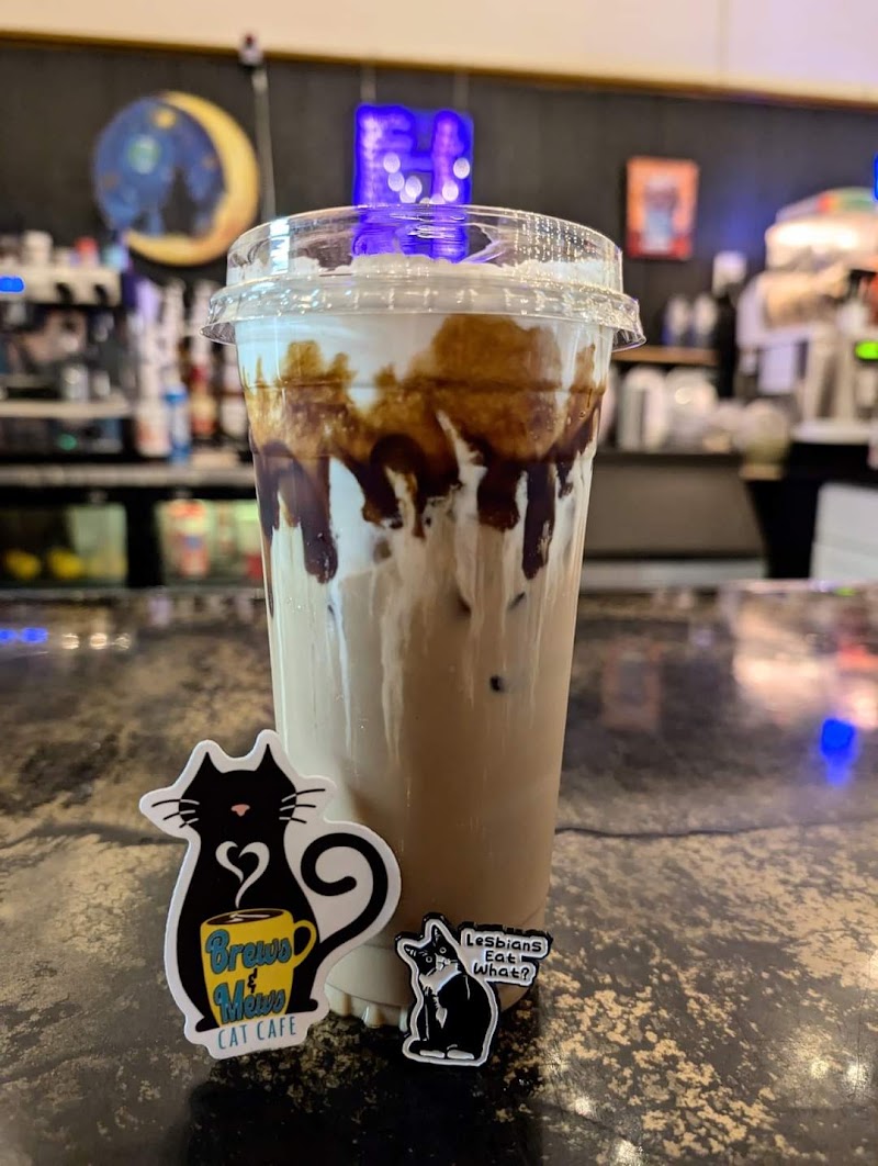Brews and Mews Cat Cafe photo 4