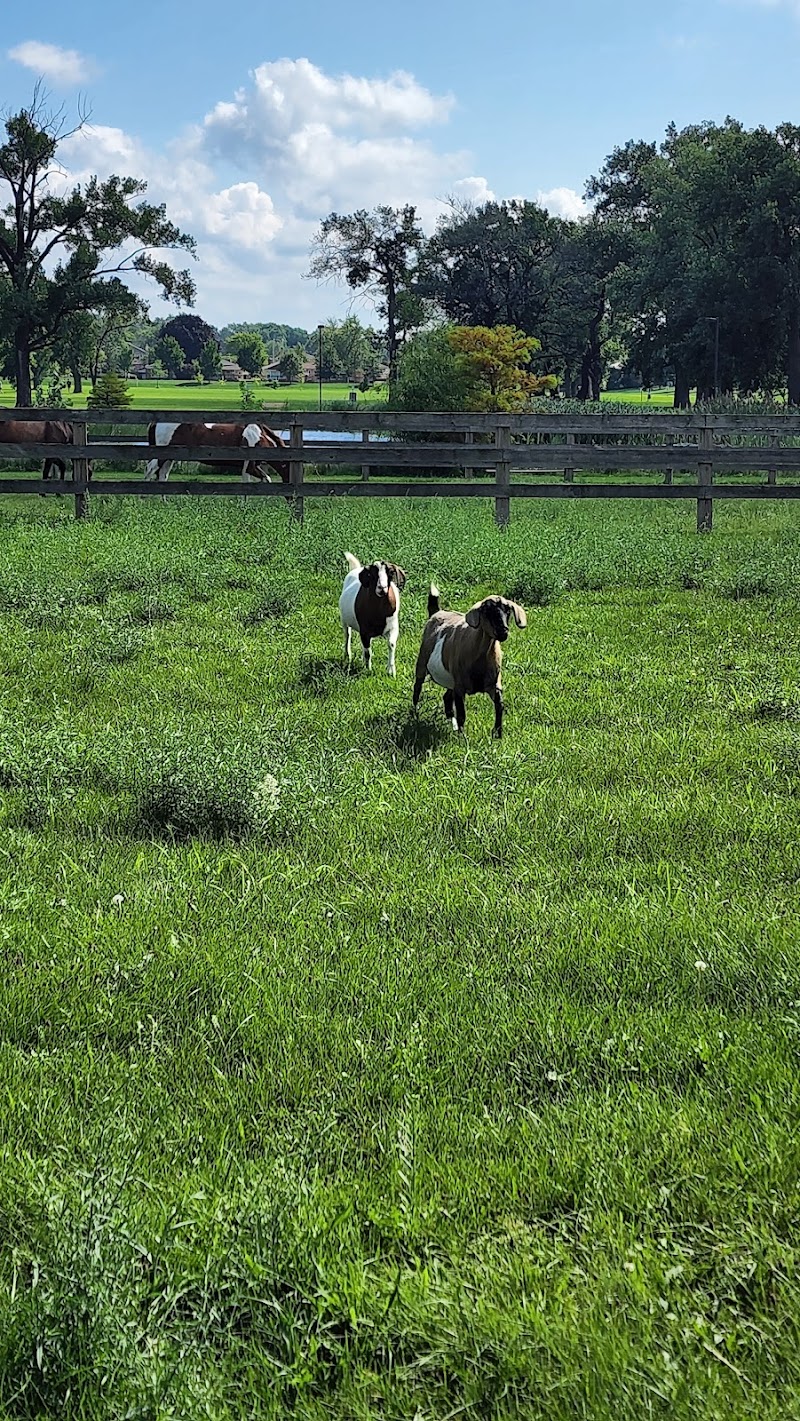 50-Acre Park photo 4