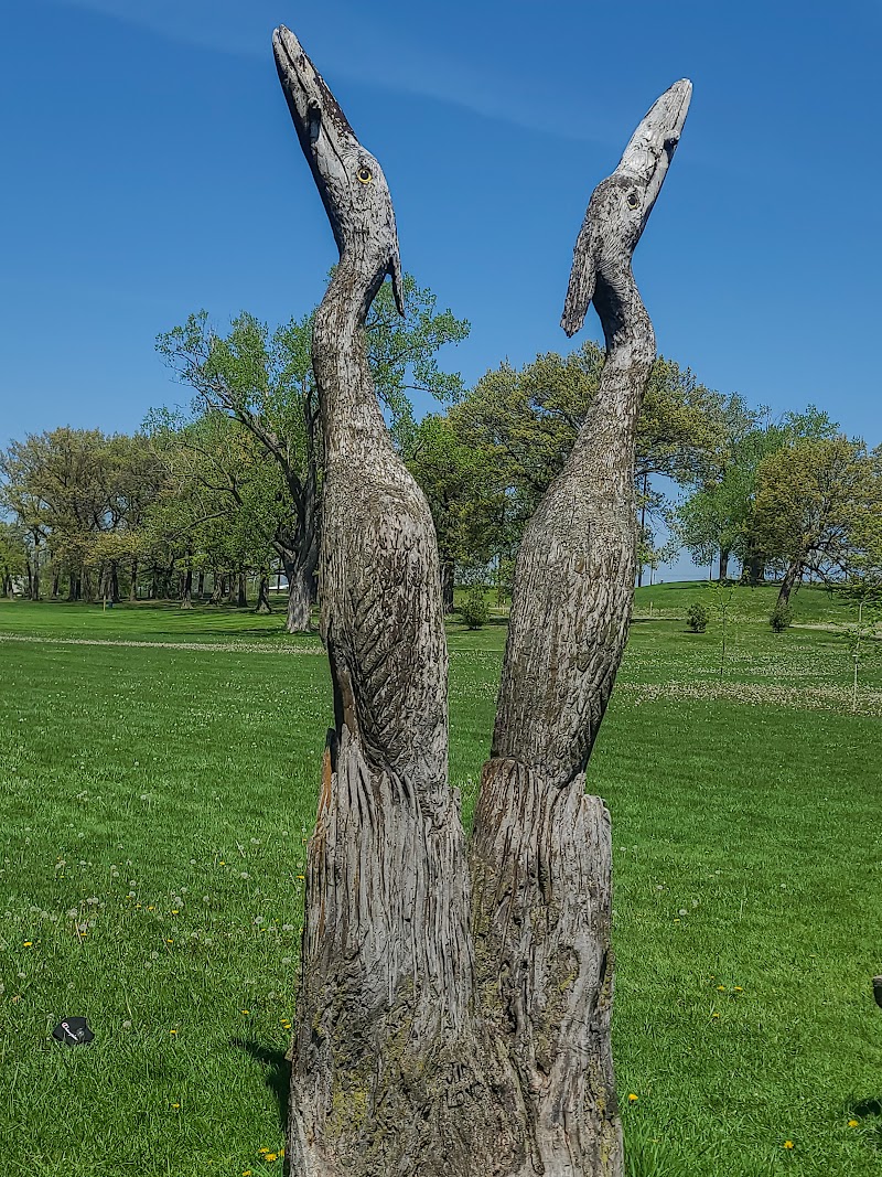 50-Acre Park photo 3