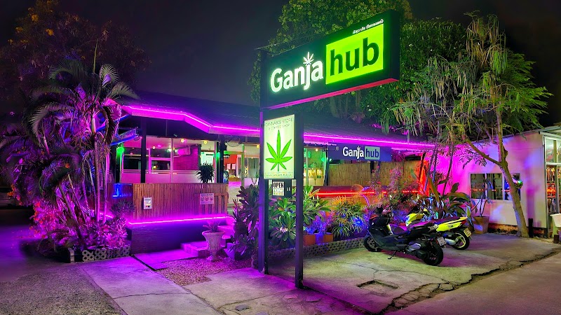 Weedhub Pattaya