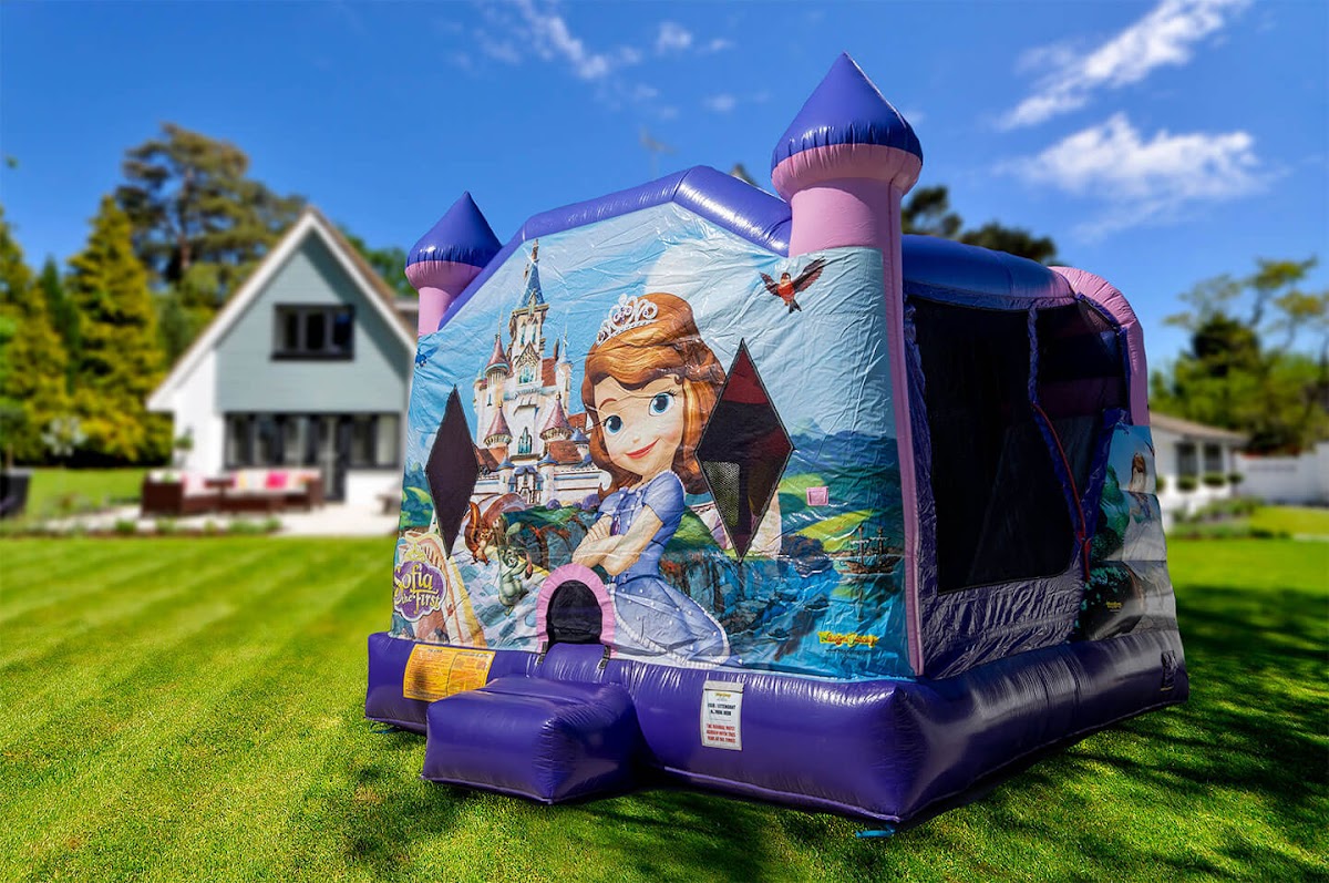 Party Llama Rentals: Google Places image 4