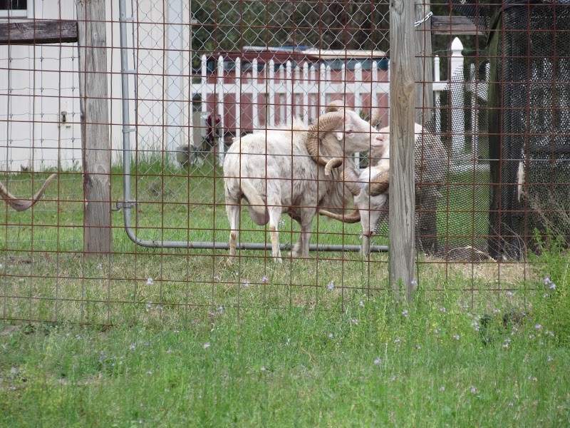 Suwannee River Ranch - Photo 3