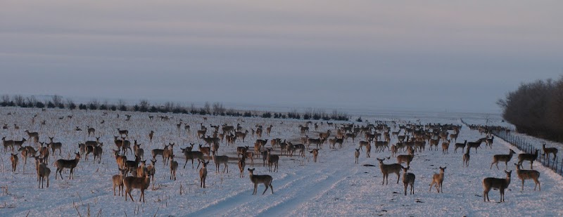 Daybreak Ranch - Photo 3