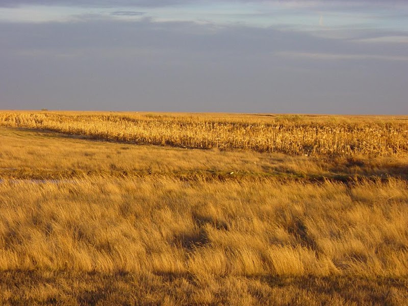 Daybreak Ranch - Photo 1