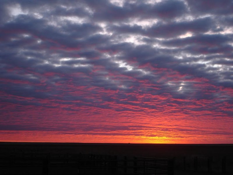 Daybreak Ranch - Photo 5