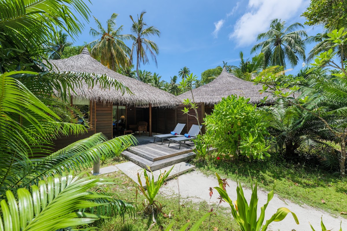 Thatched-roof bungalows with wooden decks and lounge chairs nestled among tropical palms and vegetation at Kuramathi Island Resort.