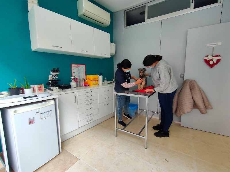 Clínica Veterinaria Madivet