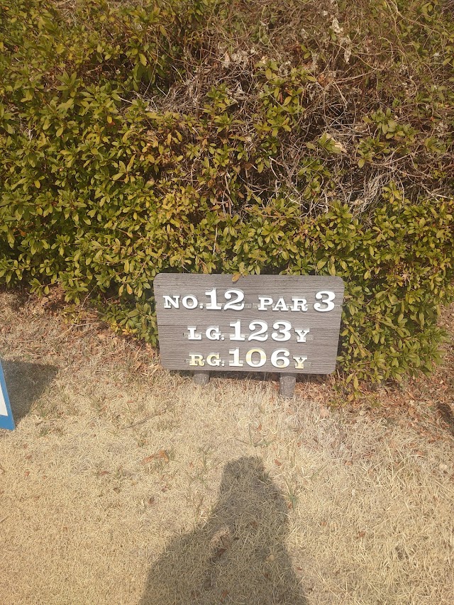 Golf Club Taiki Toyota Course - Photo 4