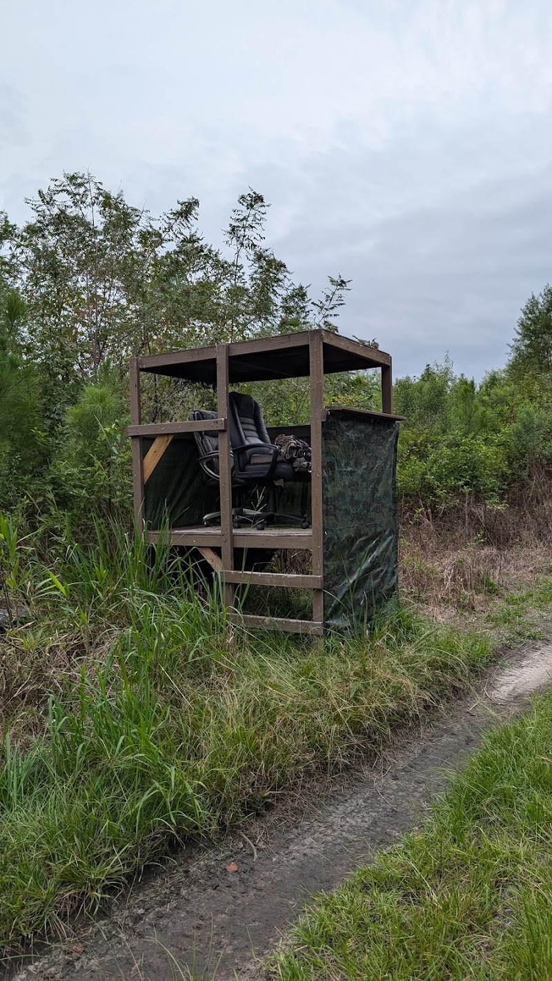 Low Country Hunting Lodge - Photo 4