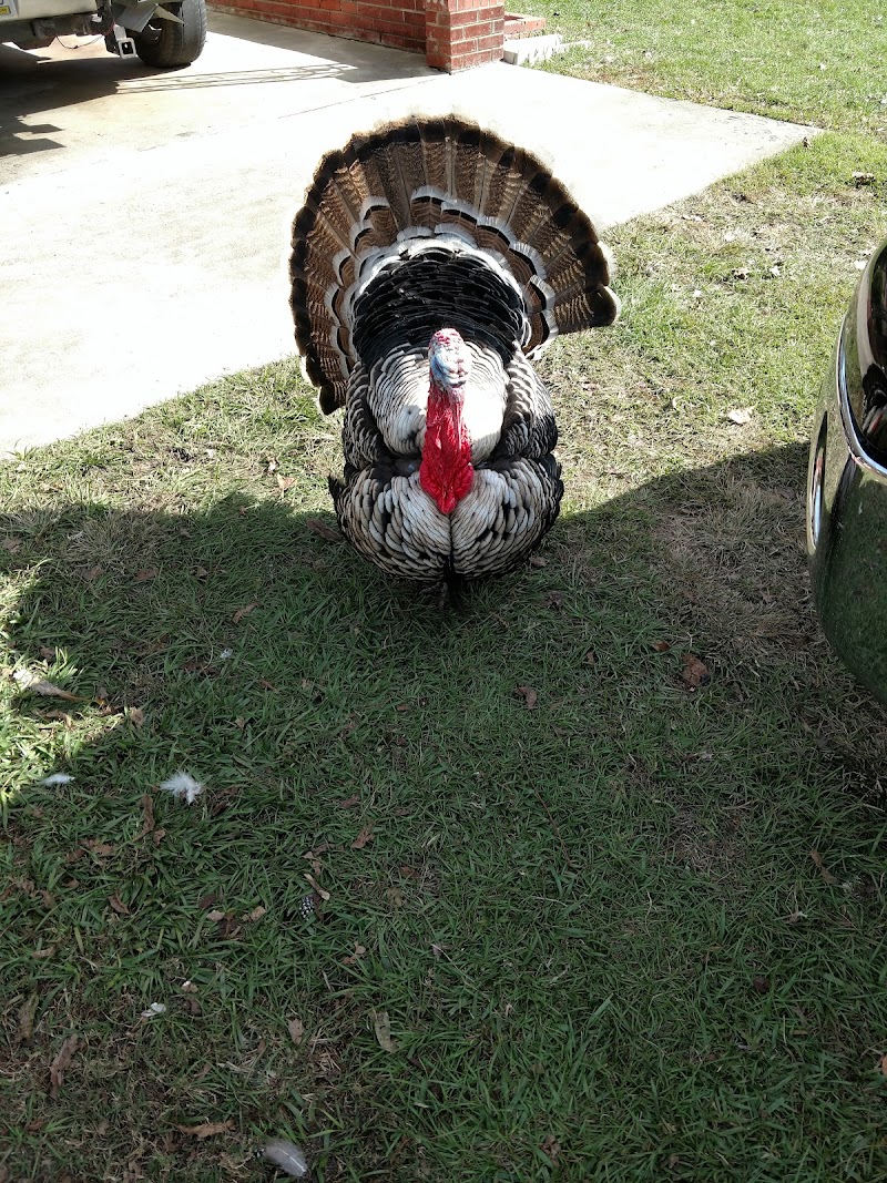 Low Country Hunting Lodge - Photo 1