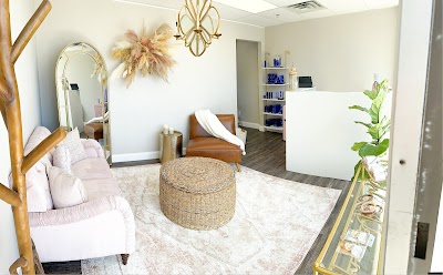 Urban Dragonfly Aesthetics