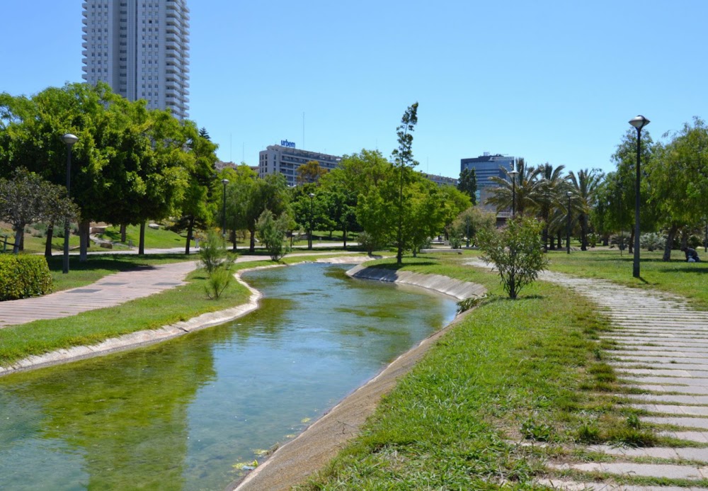 Antiguo Cauce del Río Turia fotoğraf 1