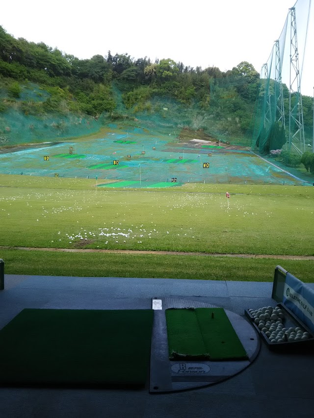 Welcome Golf Club - Photo 9