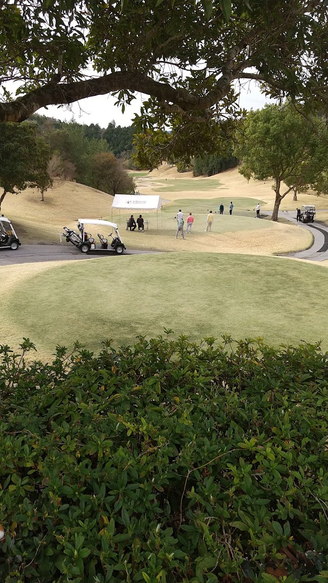 Greenフィール Golf Club - Photo 7