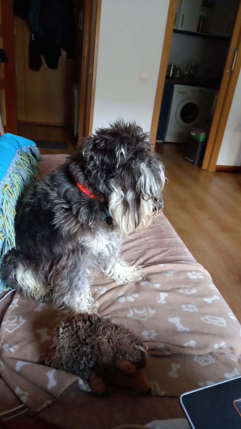 Clínica Veterinaria Luna Villamayor Salamanca