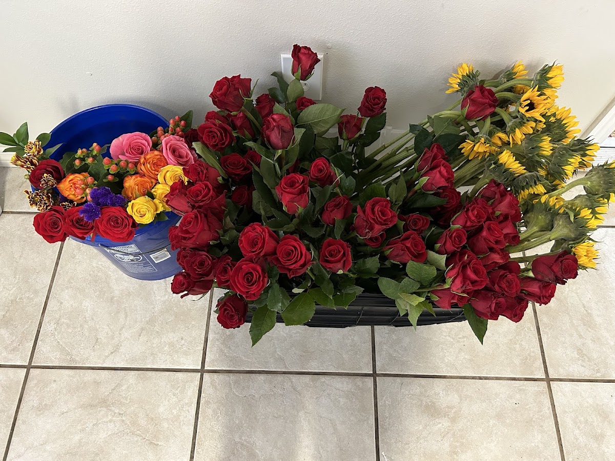 Florida Wholesale Florist Supply: Google Places image 4