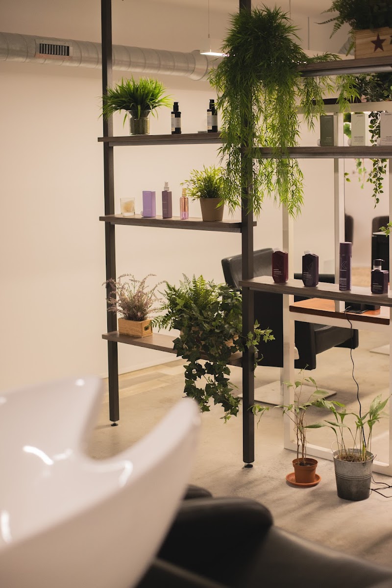 Inés Pose Lifestyle Salon photo 4