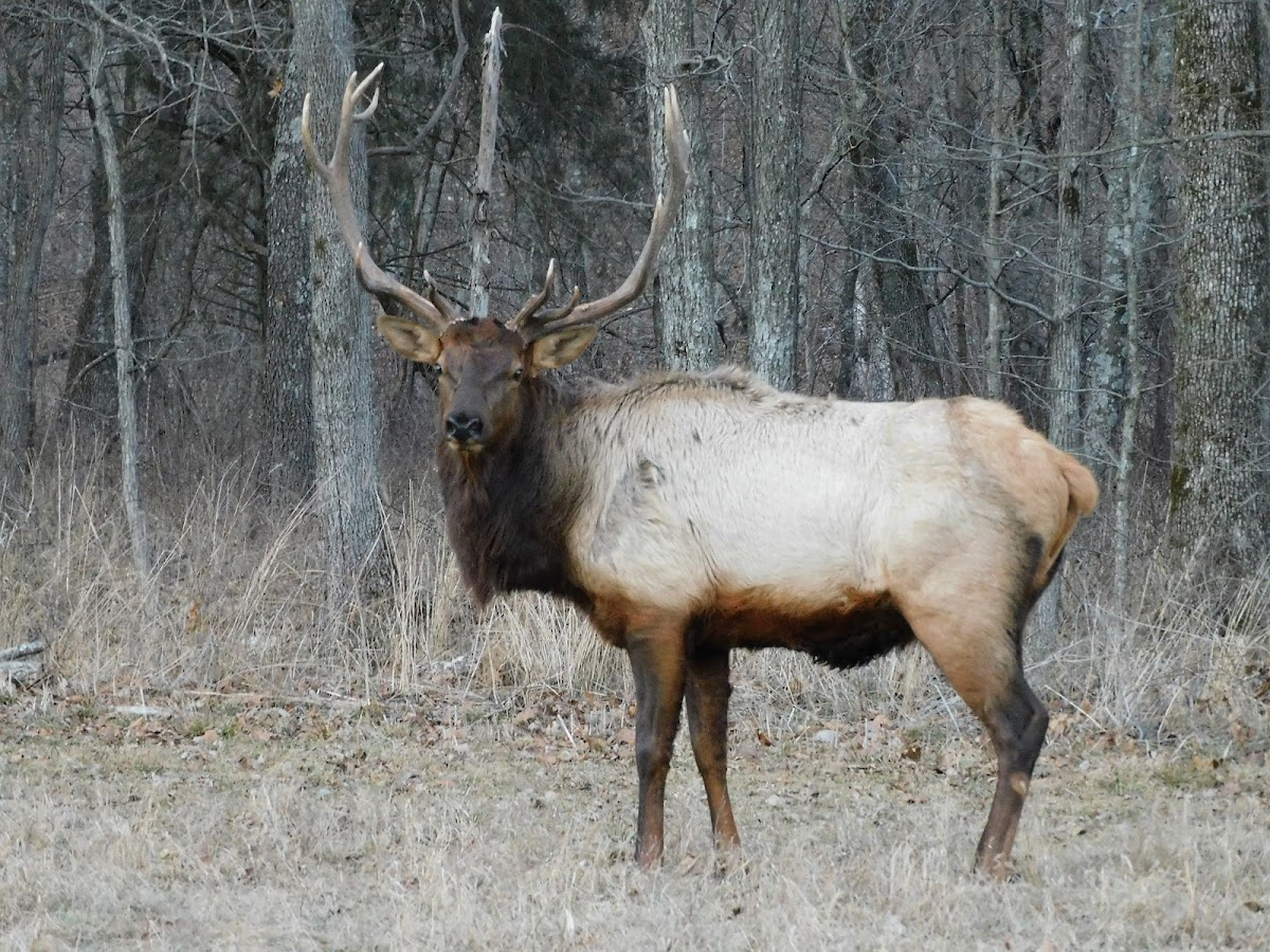 Peck Ranch Conservation Area