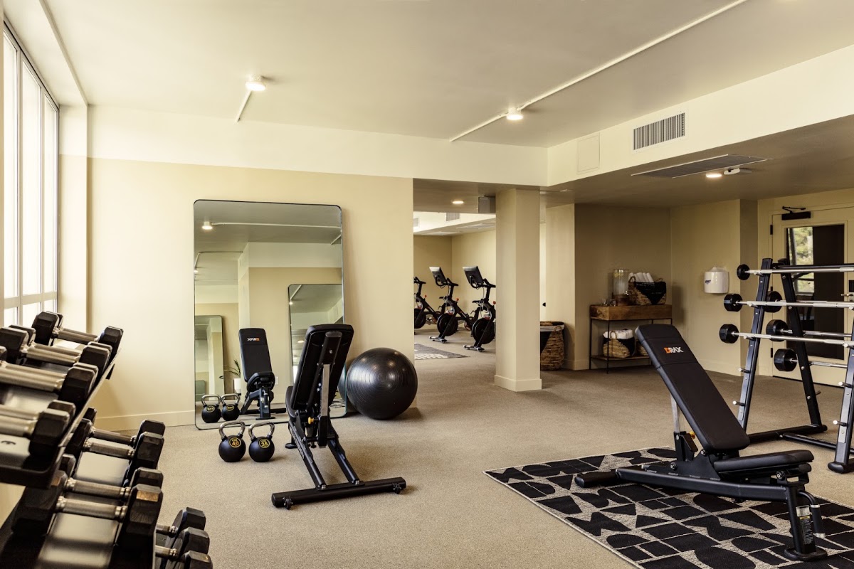 Hotel June West LA, dog-friendly hotel, photo 4