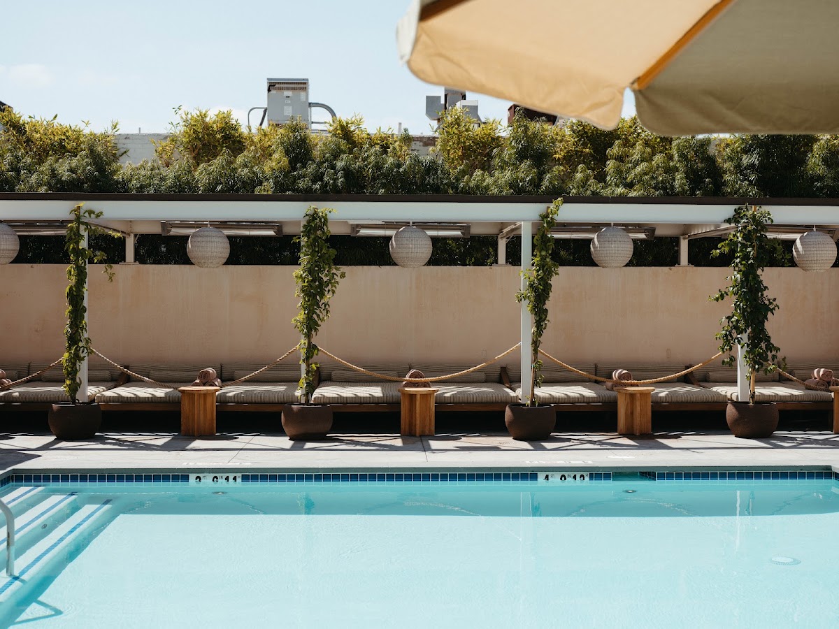 Hotel June West LA, dog-friendly hotel, photo 2