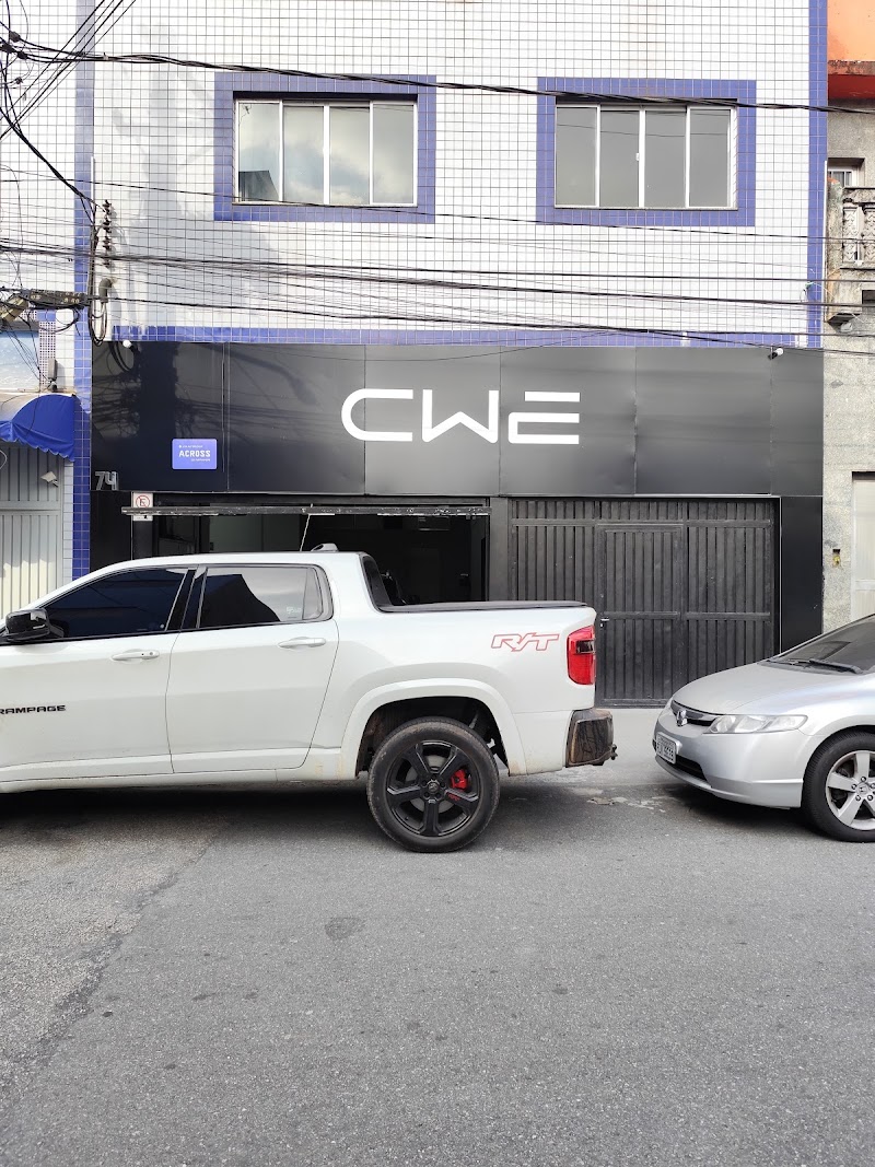 Foto de CWE PELICULA ANTI VANDALISMO - PPF - ENVELOPAMENTO