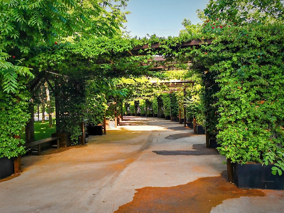 Koru Park