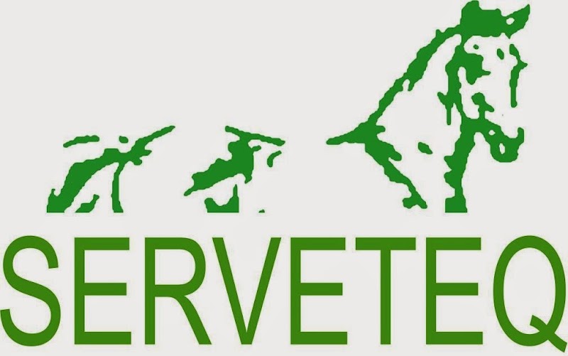 Serveteq