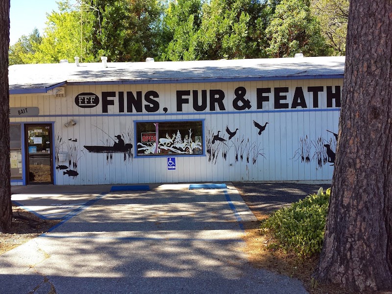 Fins, Fur and Feather Sports photo