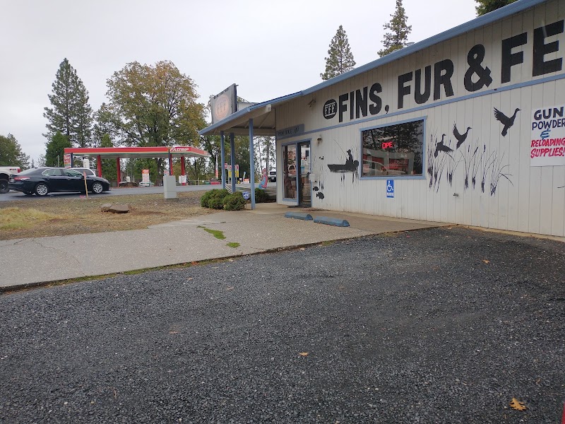 Fins, Fur and Feather Sports photo