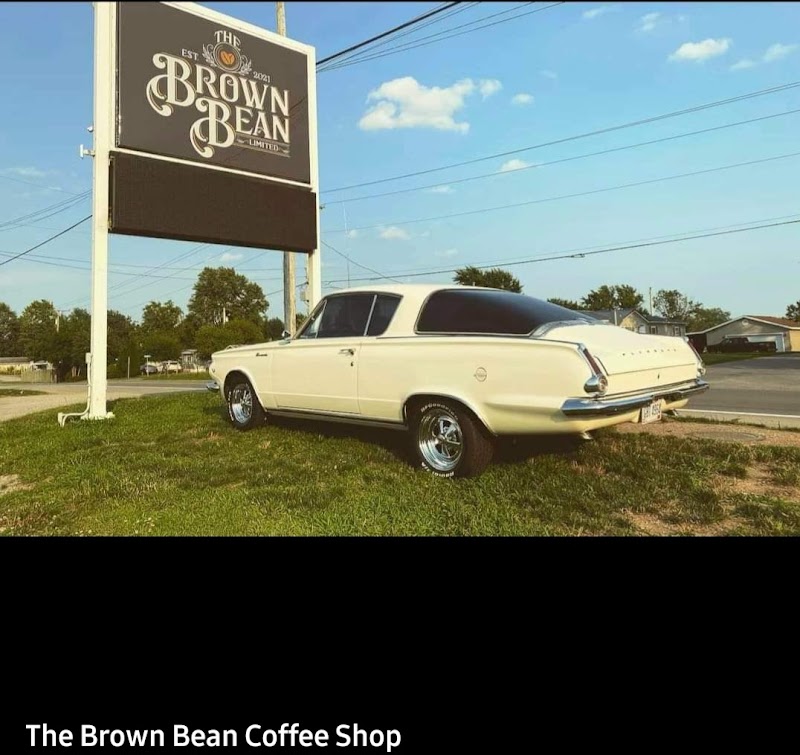 Brown Bean photo 3