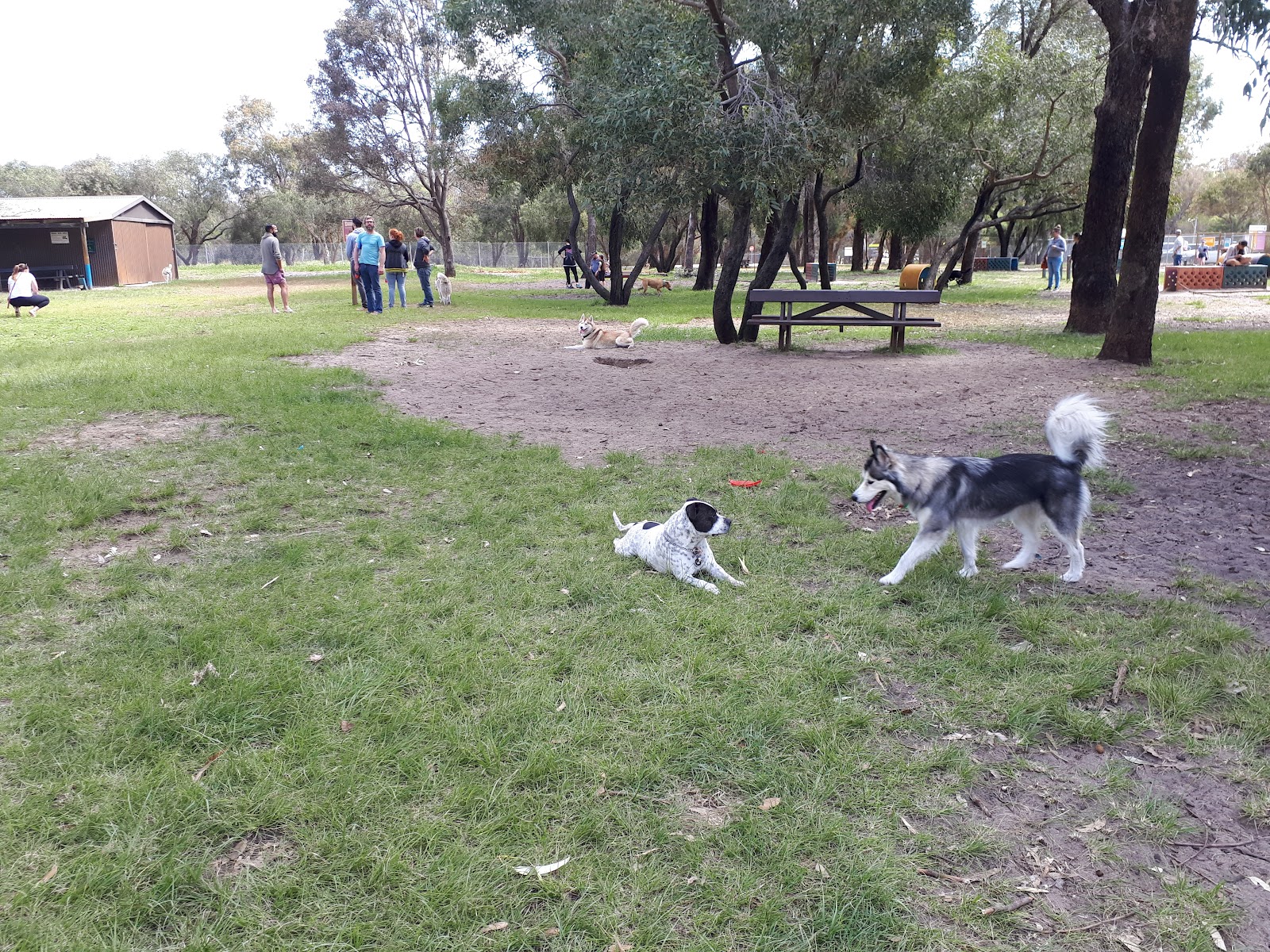 Whiteman Park Fenced Dog Park