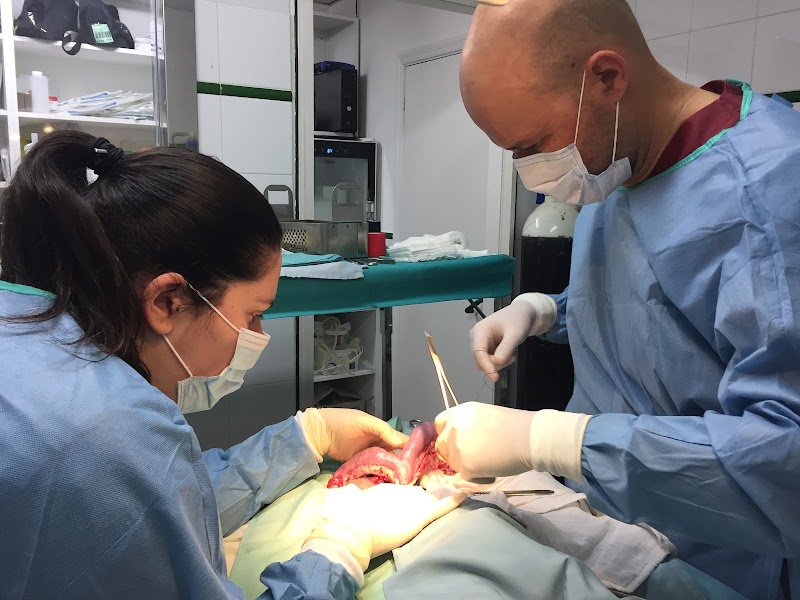 Centro Veterinario de Marín