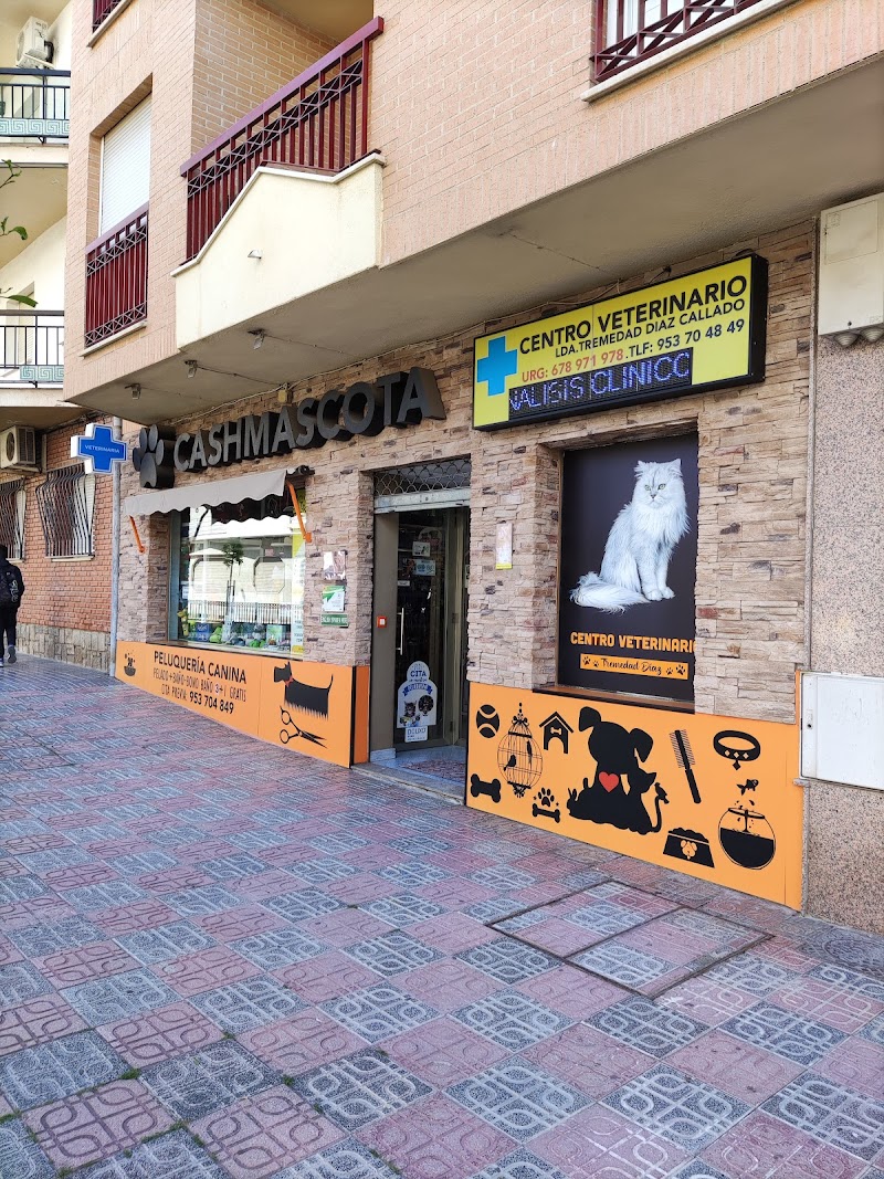 Cashmascota
