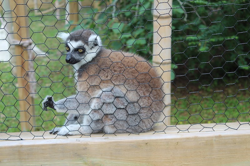 Wild Acres Hands-on Animal Experience - Reservation Required - Photo 4