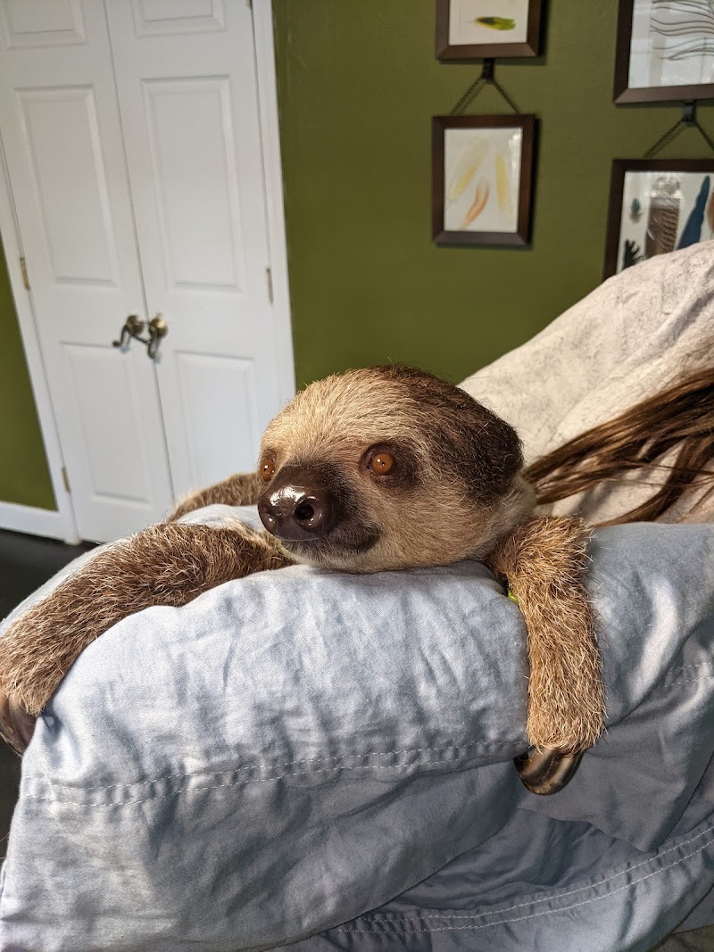 Wild Acres Hands-on Animal Experience - Reservation Required - Photo 1