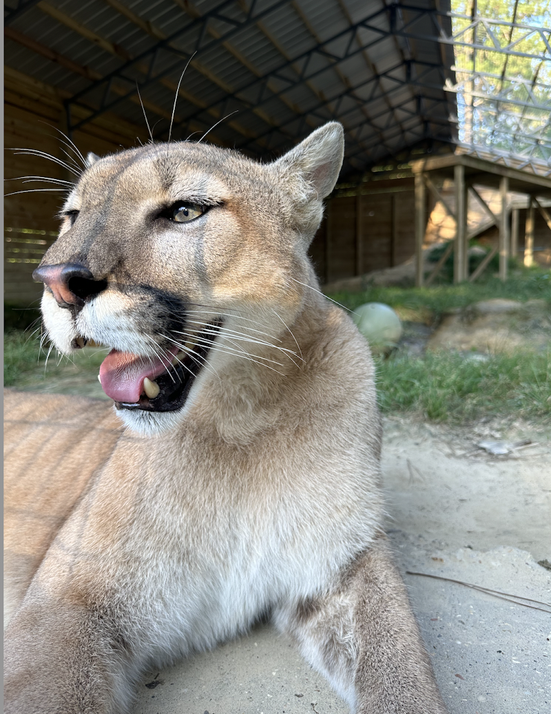 Wild Acres Hands-on Animal Experience - Reservation Required - Photo 6