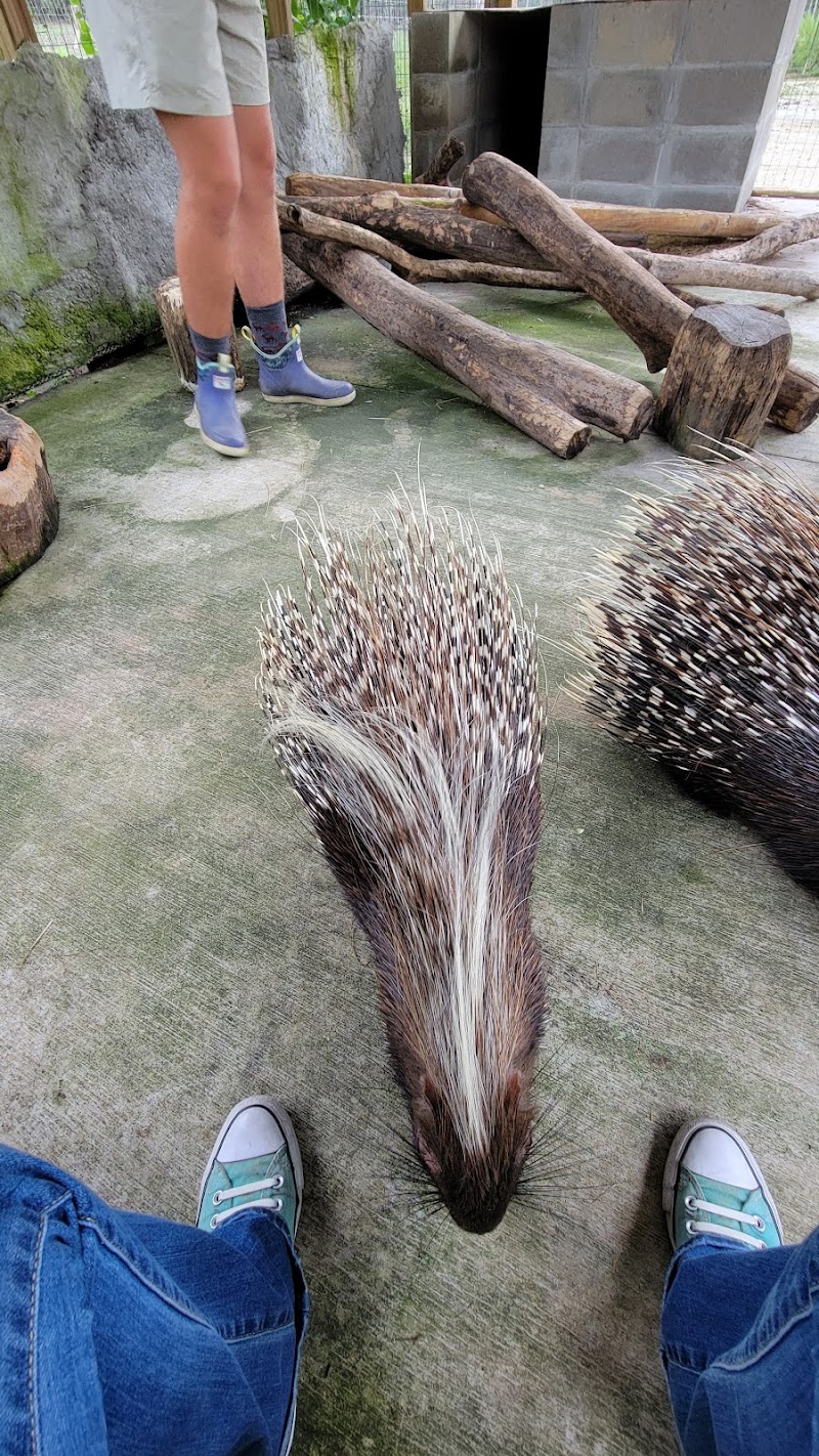 Wild Acres Hands-on Animal Experience - Reservation Required - Photo 2