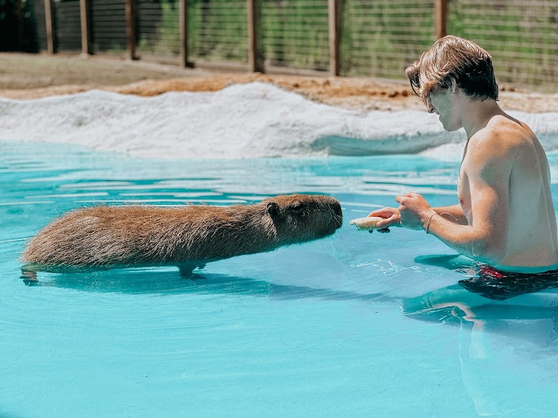 Wild Acres Hands-on Animal Experience - Reservation Required - Photo 5