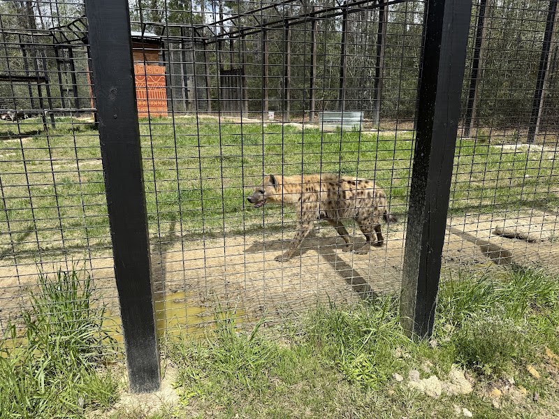 Wild Acres Hands-on Animal Experience - Reservation Required - Photo 3