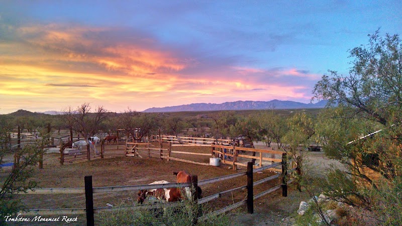 Tombstone Monument Guest Ranch - Photo 5
