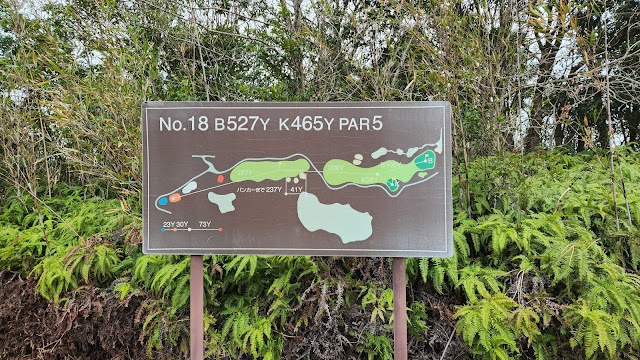 Nichinan Kushima Golf Course - Photo 2