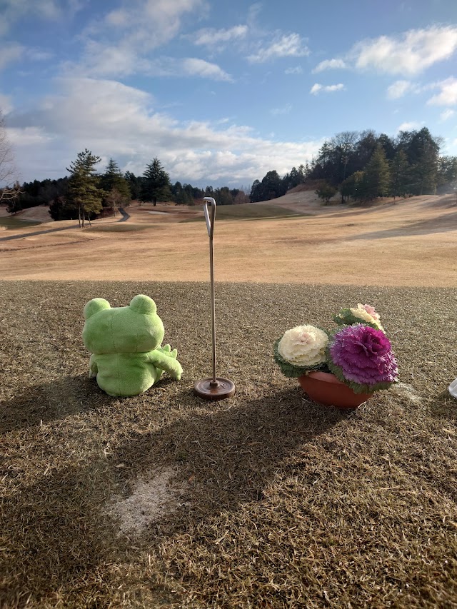 Birdwing Country Club - Photo 10