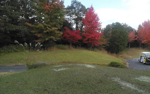 Birdwing Country Club - Photo 7