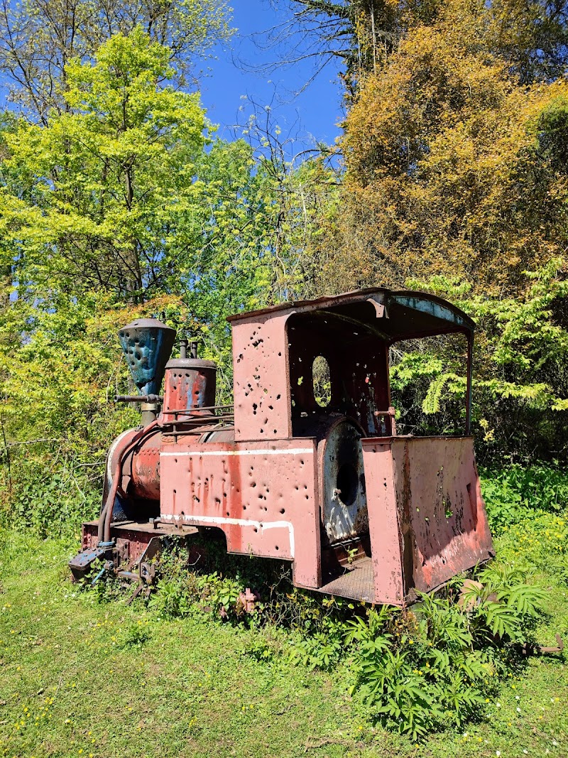 Монастырский паровоз Юнг: что важно знать перед визитом