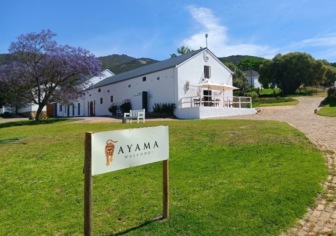 Ayama Wines