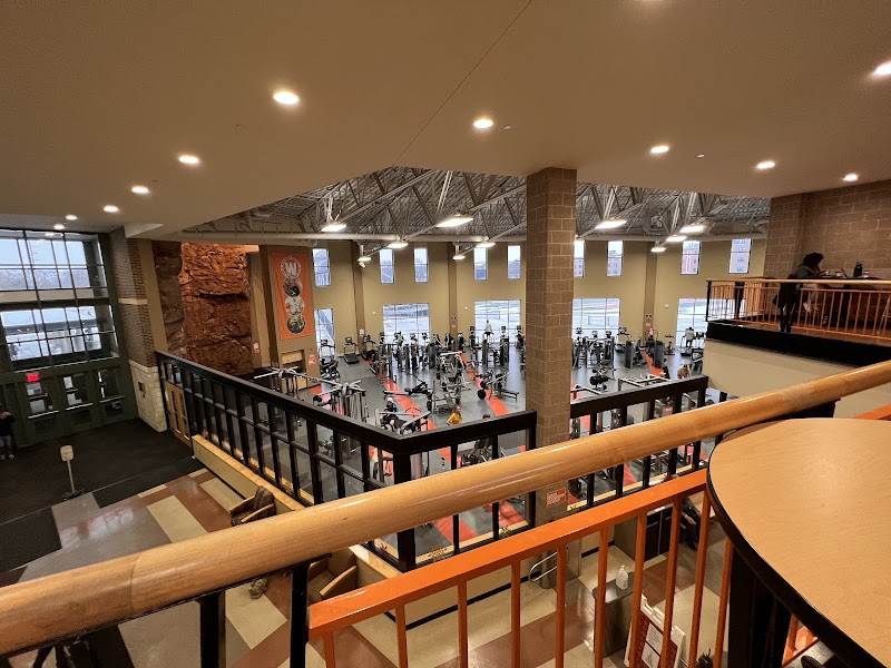 Zesty Orange photo 2