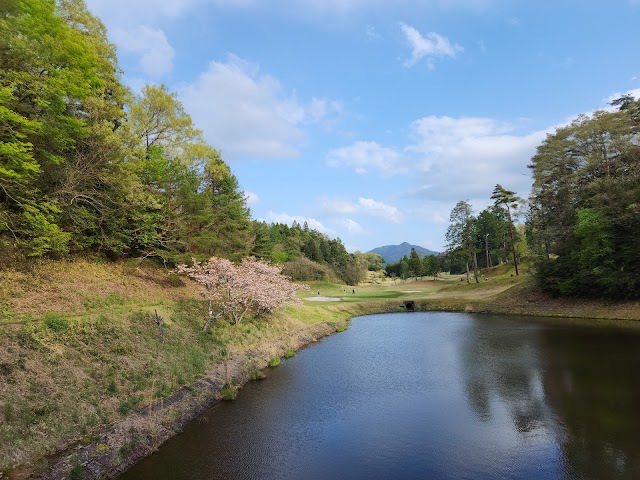 Daikoka Country Club Kami Course - Photo 5