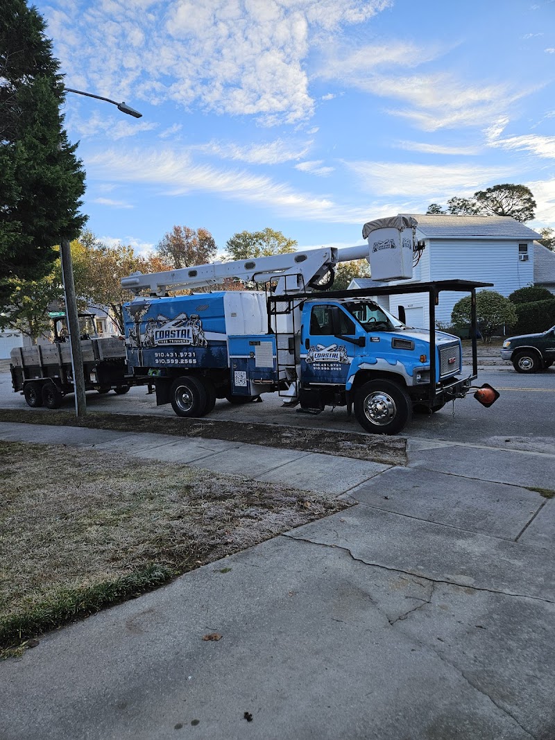 Coastal Tree Trimmers